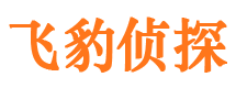 江陵市调查公司